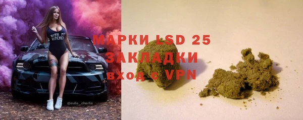 прущие грибы Алзамай