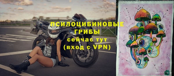 герыч Алексин