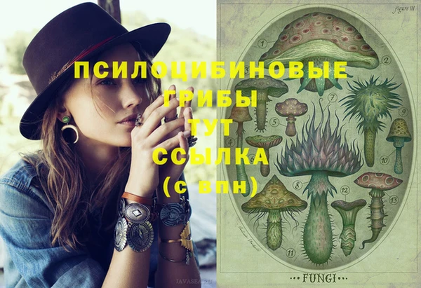 прущие грибы Алзамай