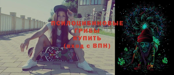герыч Алексин