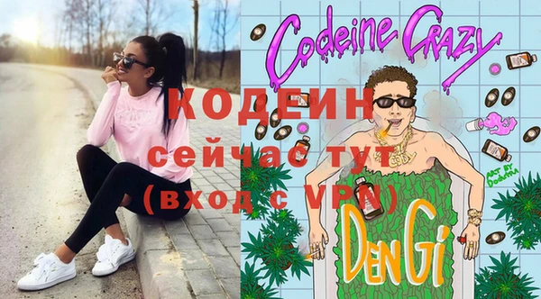 прущие грибы Алзамай
